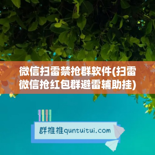 微信扫雷禁抢群软件(扫雷微信抢红包群避雷辅助挂)