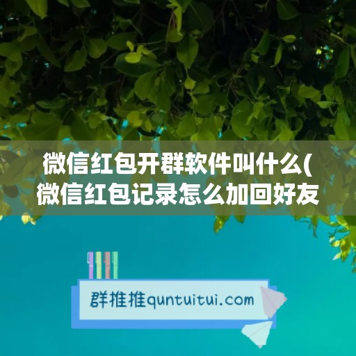 微信红包开群软件叫什么(微信红包记录怎么加回好友)