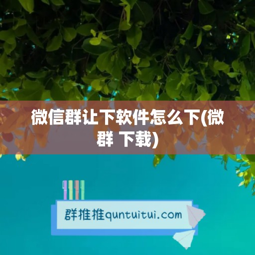 微信群让下软件怎么下(微群 下载)