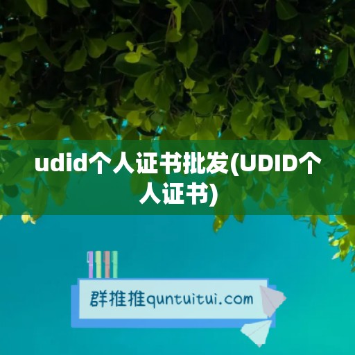 udid个人证书批发(UDID个人证书)