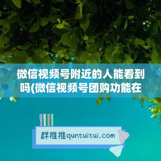 微信视频号附近的人能看到吗(微信视频号团购功能在哪)