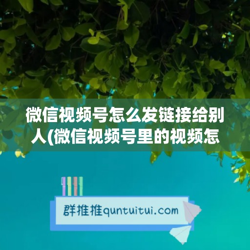 微信视频号怎么发链接给别人(微信视频号里的视频怎么保存到相册)