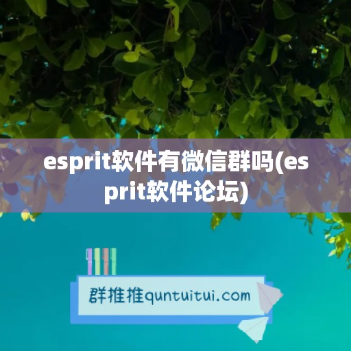 esprit软件有微信群吗(esprit软件论坛)