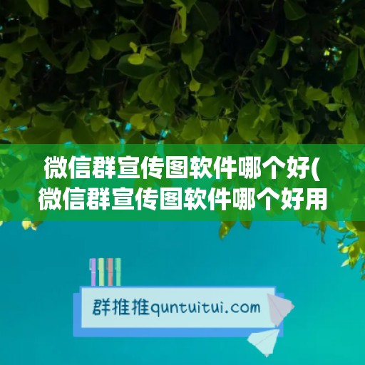 微信群宣传图软件哪个好(微信群宣传图软件哪个好用)