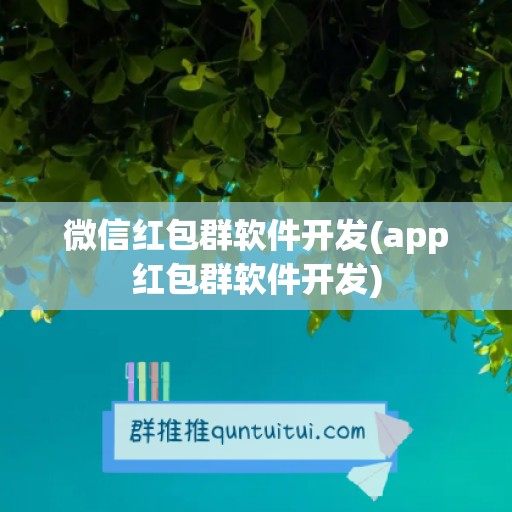 微信红包群软件开发(app红包群软件开发)