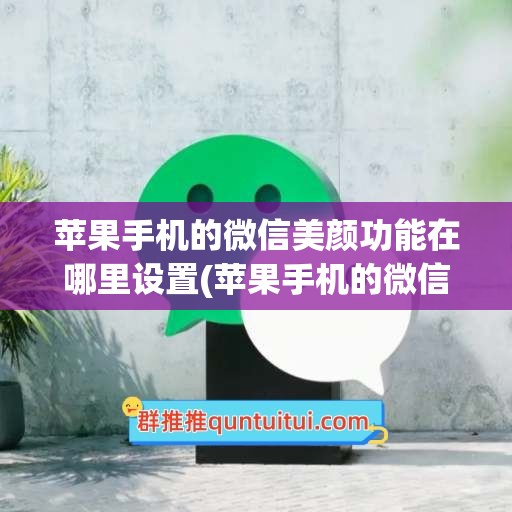 苹果手机的微信美颜功能在哪里设置(苹果手机的微信分身怎么弄)