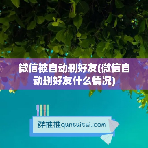 微信被自动删好友(微信自动删好友什么情况)