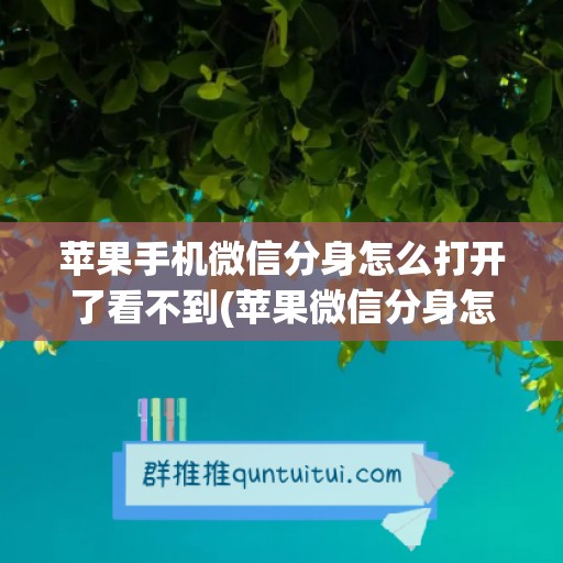 苹果手机微信分身怎么打开了看不到(苹果微信分身怎么不可用了)