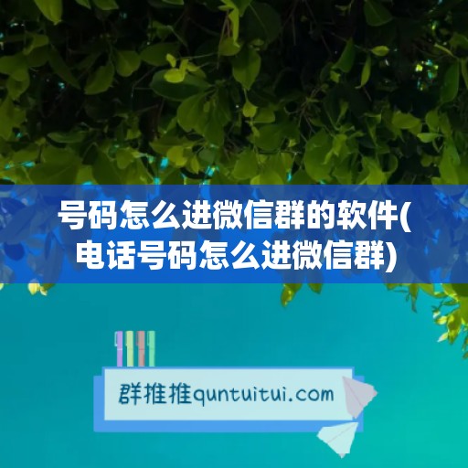 号码怎么进微信群的软件(电话号码怎么进微信群)