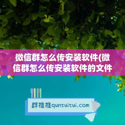 微信群怎么传安装软件(微信群怎么传安装软件的文件)