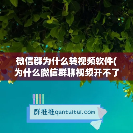 微信群为什么转视频软件(为什么微信群聊视频开不了摄像头)