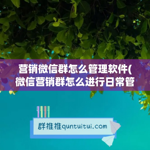 营销微信群怎么管理软件(微信营销群怎么进行日常管理)