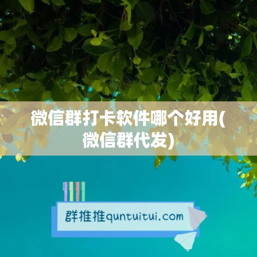 微信群打卡软件哪个好用(微信群代发)