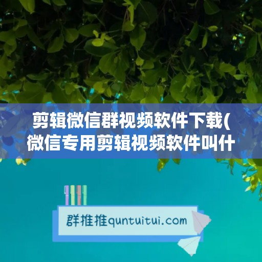 剪辑微信群视频软件下载(微信专用剪辑视频软件叫什么)