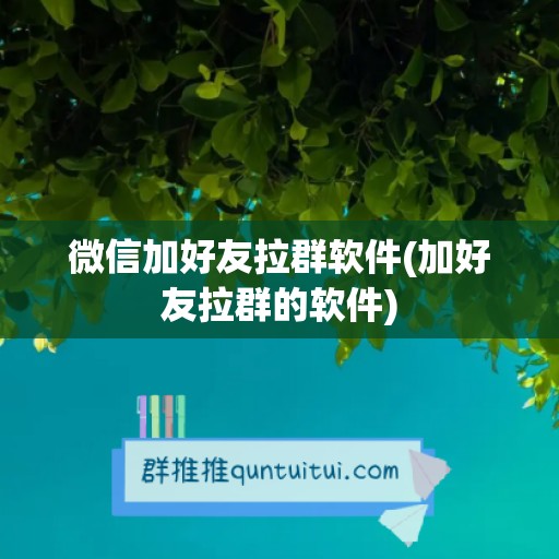 微信加好友拉群软件(加好友拉群的软件)