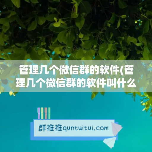 管理几个微信群的软件(管理几个微信群的软件叫什么)