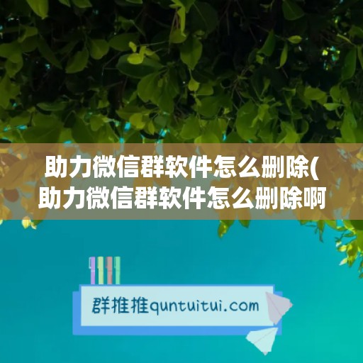 助力微信群软件怎么删除(助力微信群软件怎么删除啊)