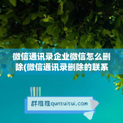 微信通讯录企业微信怎么删除(微信通讯录删除的联系人怎么找回)