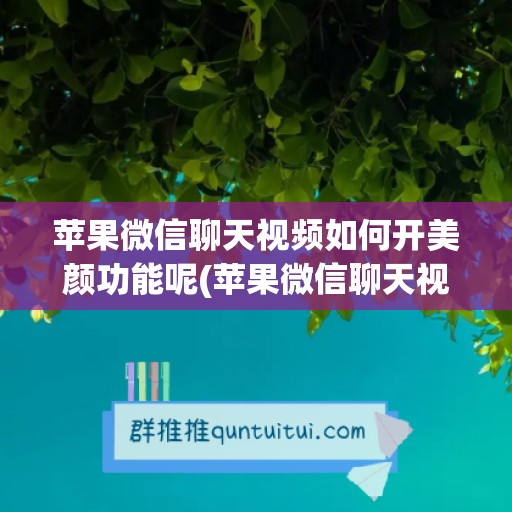 苹果微信聊天视频如何开美颜功能呢(苹果微信聊天视频如何开美颜功能呢图片)