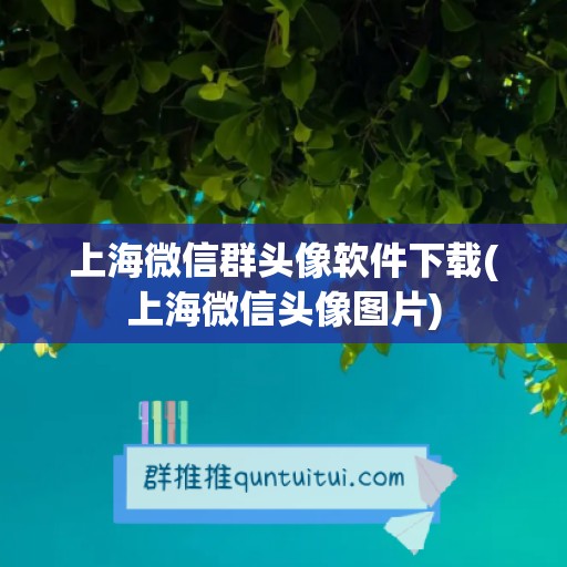 上海微信群头像软件下载(上海微信头像图片)