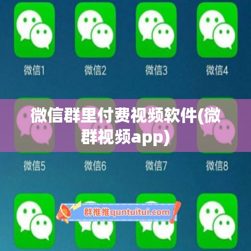 微信群里付费视频软件(微群视频app)