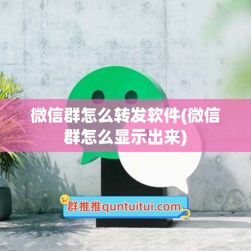 微信群怎么转发软件(微信群怎么显示出来)