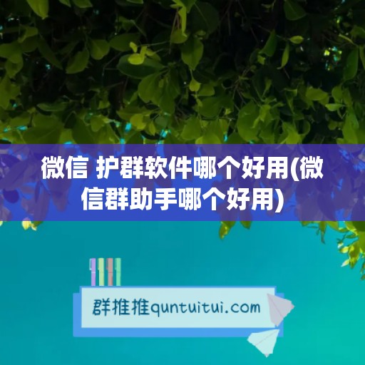 微信 护群软件哪个好用(微信群助手哪个好用)