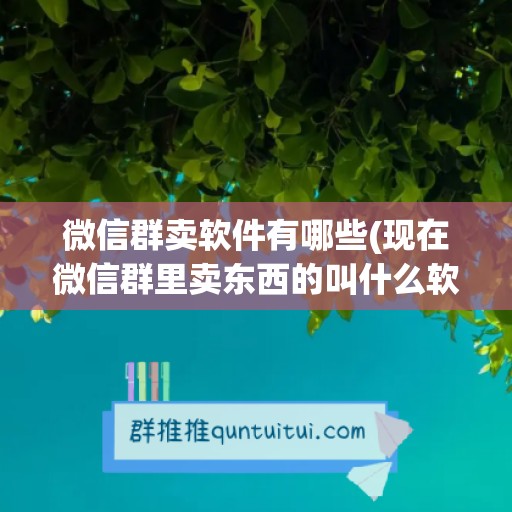 微信群卖软件有哪些(现在微信群里卖东西的叫什么软件)