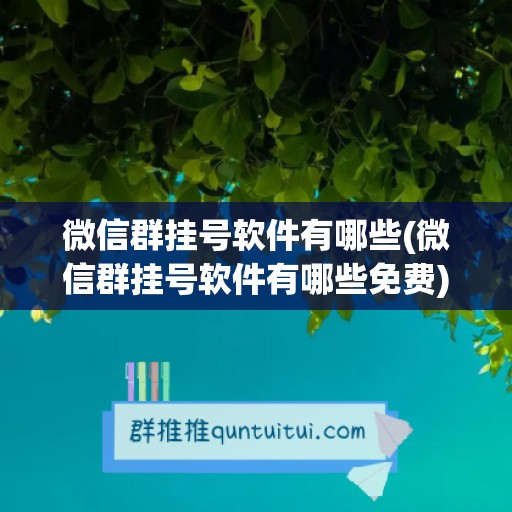 微信群挂号软件有哪些(微信群挂号软件有哪些免费)