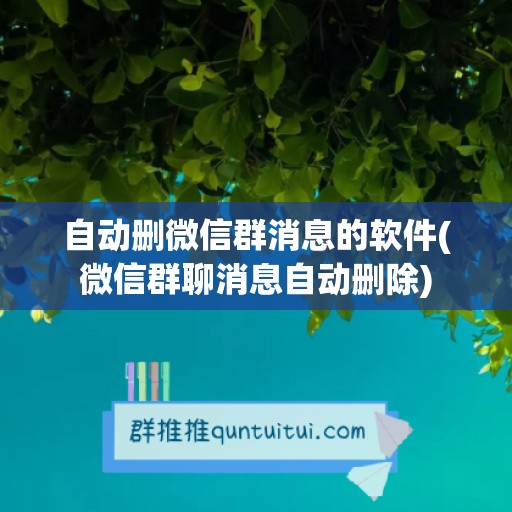 自动删微信群消息的软件(微信群聊消息自动删除)