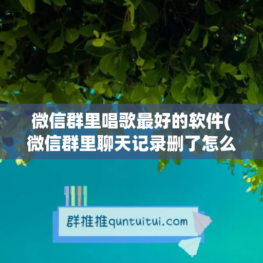 微信群里唱歌最好的软件(微信群里聊天记录删了怎么恢复)