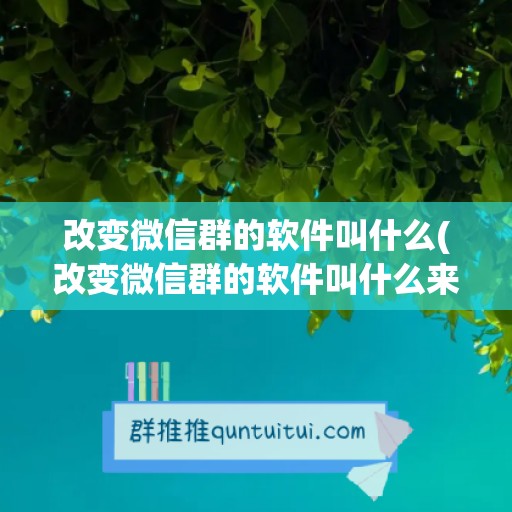 改变微信群的软件叫什么(改变微信群的软件叫什么来着)