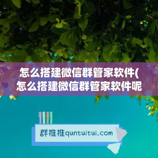 怎么搭建微信群管家软件(怎么搭建微信群管家软件呢)