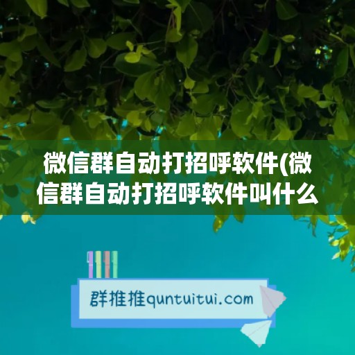 微信群自动打招呼软件(微信群自动打招呼软件叫什么)