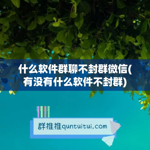 什么软件群聊不封群微信(有没有什么软件不封群)