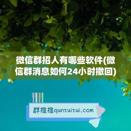 微信群招人有哪些软件(微信群消息如何24小时撤回)