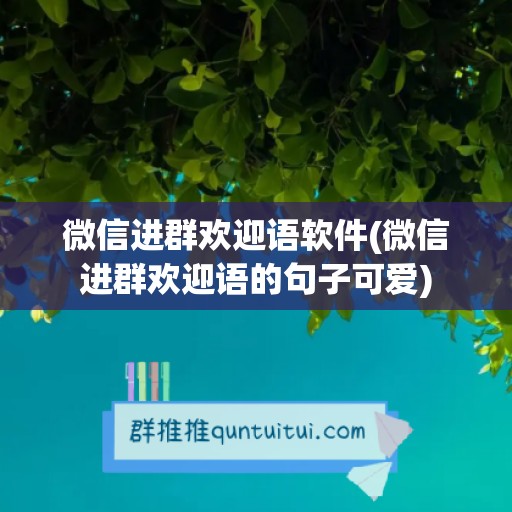 微信进群欢迎语软件(微信进群欢迎语的句子可爱)