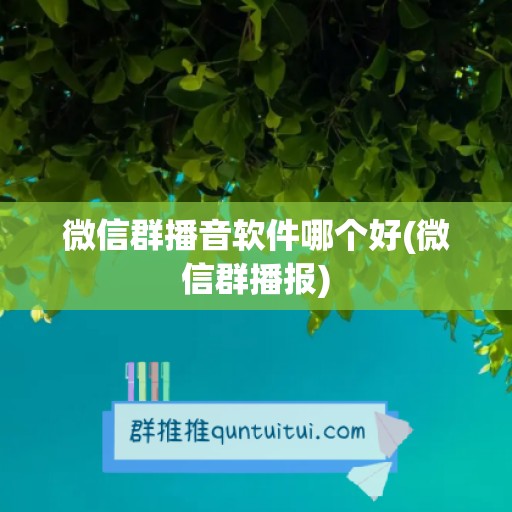 微信群播音软件哪个好(微信群播报)