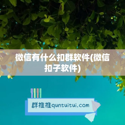 微信有什么扣群软件(微信扣子软件)