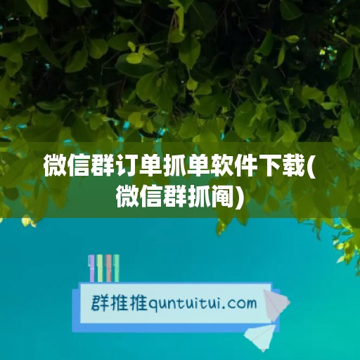 微信群订单抓单软件下载(微信群抓阄)