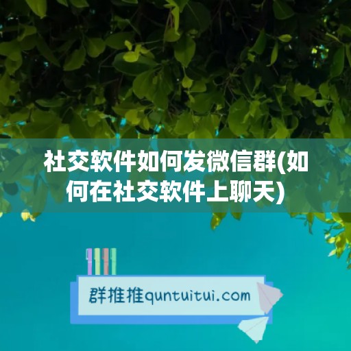 社交软件如何发微信群(如何在社交软件上聊天)