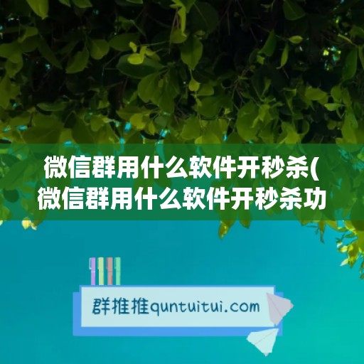 微信群用什么软件开秒杀(微信群用什么软件开秒杀功能)