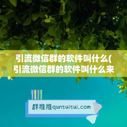 引流微信群的软件叫什么(引流微信群的软件叫什么来着)