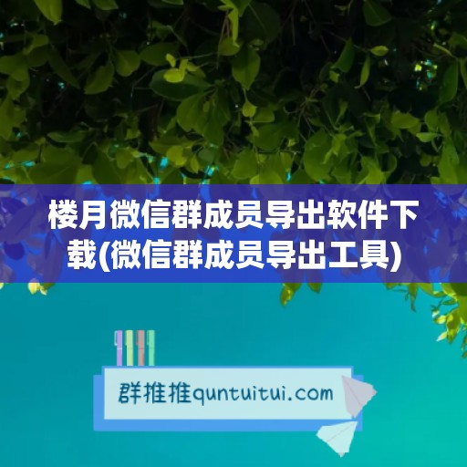 楼月微信群成员导出软件下载(微信群成员导出工具)