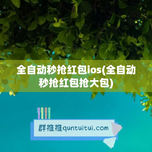 全自动秒抢红包ios(全自动秒抢红包抢大包)