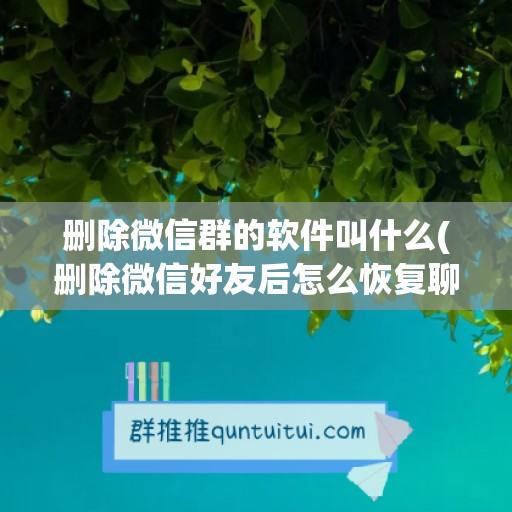 删除微信群的软件叫什么(删除微信好友后怎么恢复聊天记录)