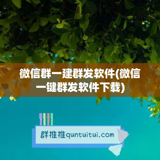 微信群一建群发软件(微信一键群发软件下载)