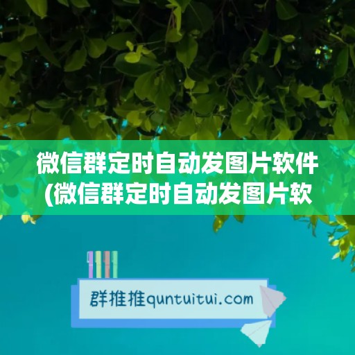 微信群定时自动发图片软件(微信群定时自动发图片软件有哪些)