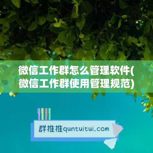 微信工作群怎么管理软件(微信工作群使用管理规范)