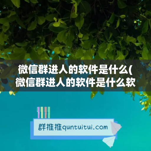 微信群进人的软件是什么(微信群进人的软件是什么软件)